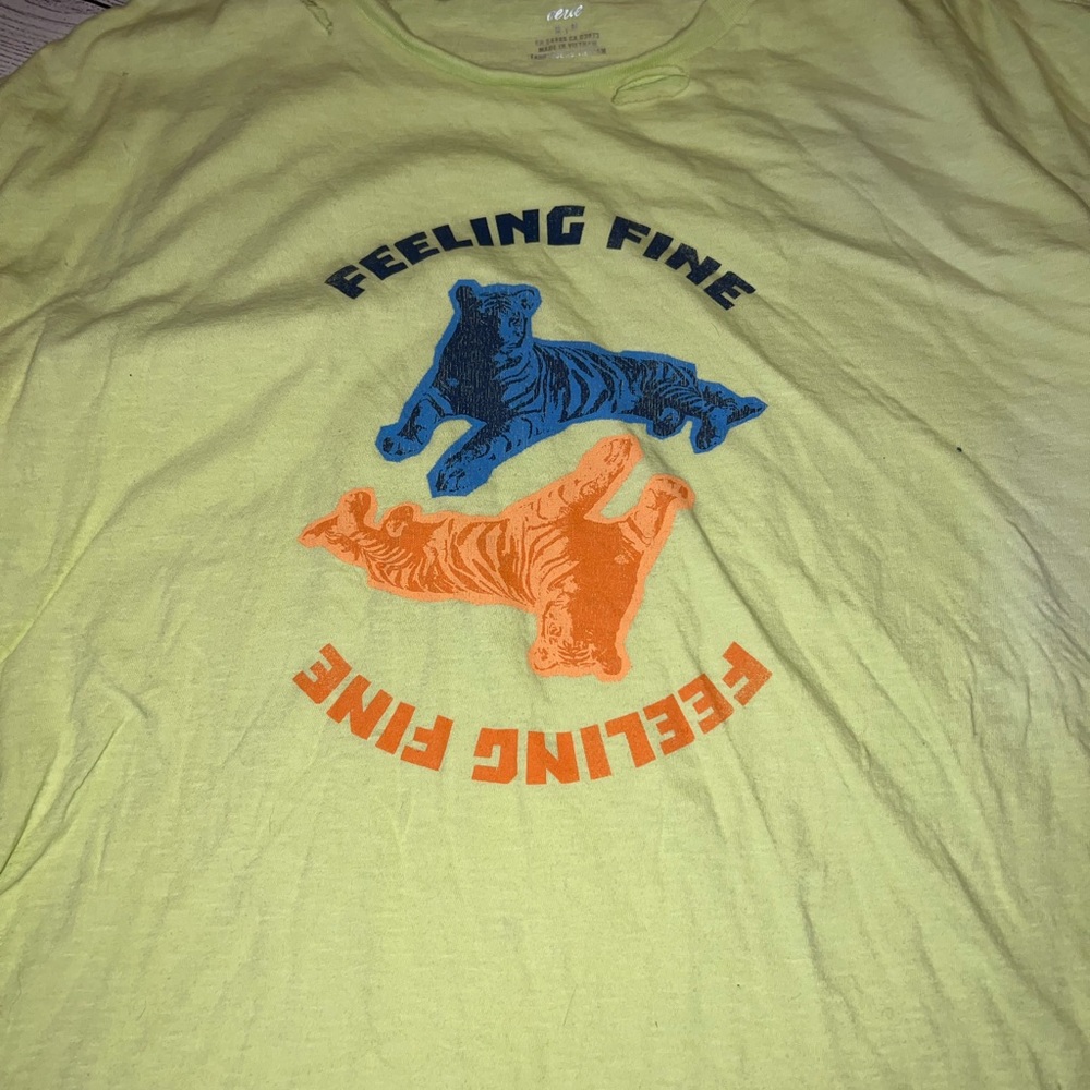 🍁🍃🍂Aerie feeling fine graphic destroyed t-shirt - Picture 4 of 6